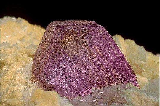 NemaskaMǰɌPallinghurstY Whabouchixʯa(chn)_(d)700f