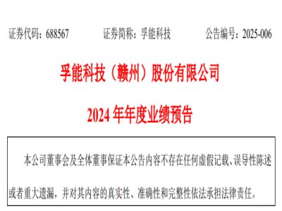 ܿƼ¹棺̑B(ti)늳2025a(chn)