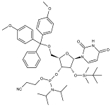 微信圖片_20231212101428.png