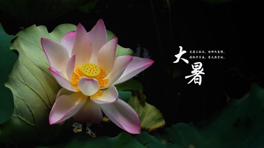 大暑節(jié)氣，是夏季的最后一個(gè)節(jié)氣.jpeg